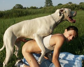 Порно с собакой