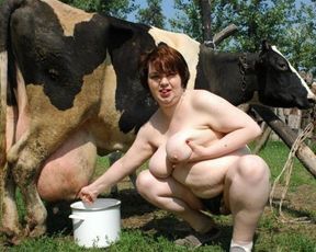 C животными