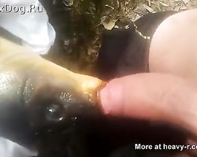 Оральный секс с рыбой, парень дал в рот карпу