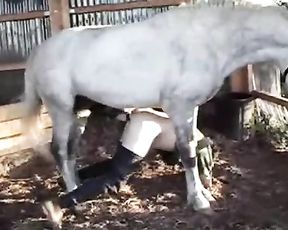 Конь выебал зоофилка и кончил в жопу, ужасное зоо порно с геем