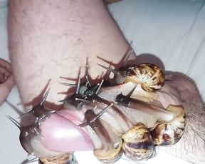 Секс зоофила с улитками снятый на видео камеру