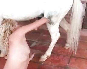 Порно блондинки с пони