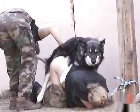 Сторожевые собаки ебут пленную американскую шлюху. Порно Сирии