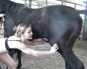 Надя обслуживает коня, смешное зоо порно видео по русски