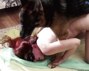 Овчарка и русская девушка, тим раша зоо порно видео с собакой HD