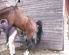 Конь насилует полного мужчину в жопу на ферме. Шок зоо порно анал