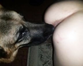 Порно чешской пары с овчаркой, домашнее зоо видео