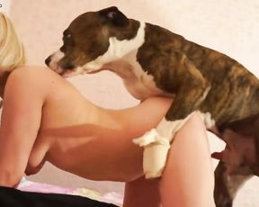 Порно русской тёлки с собакой, teamrussia zoo hd