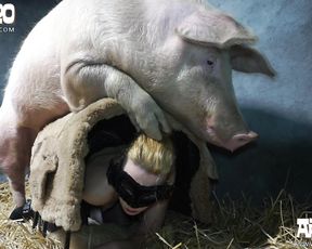 Жесткое зоо порно с девушки с кабаном 1 часть. Boar JAdore Yasmin