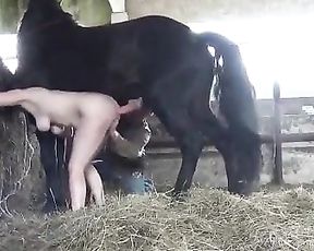 Masha Katieva, horse sex Team Russia