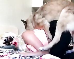 Sexy girl fucks with a shepherd dog, porn bestiality