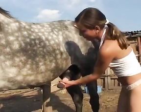 Молодая девушка отдалась большому коню на ферме, зоо секс видео