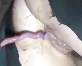 Секс с кабаном - вьетнамский поросенок трахает хозяйку HD