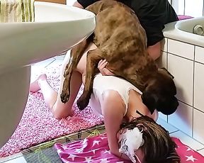 Русское зоо порно мужа и жены с собакой боксер в ванной